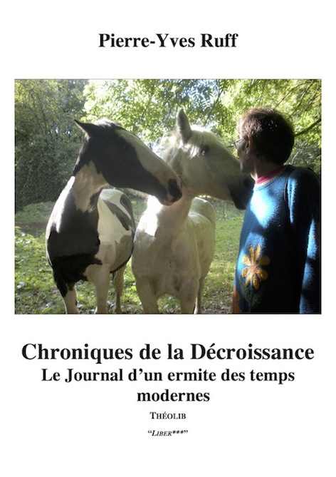 Chroniques de la décroissance. Le Journal d'un ermite des temps modernes